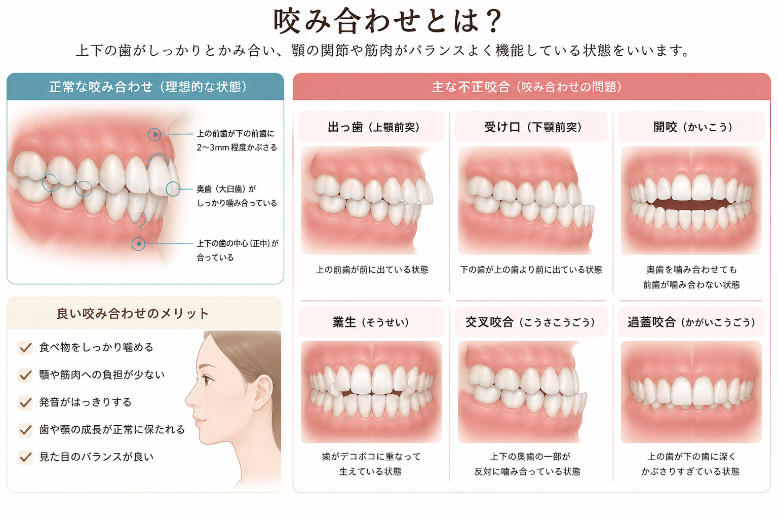 顎のズレは“位置の問題”ではなく“選択の問題”