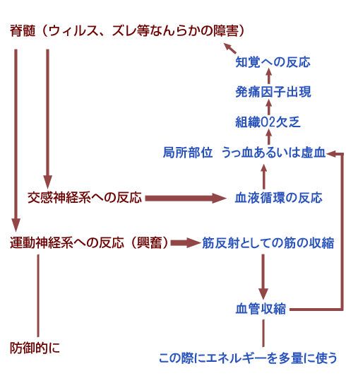 This is 病態関連図（1-3）